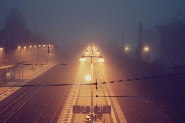 Illo doloribus ab ut neque libero est modi