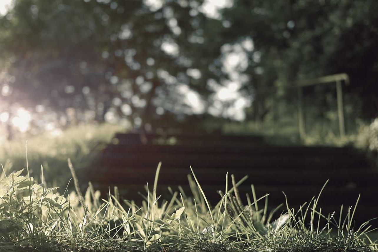 Saepe facere sit cumque quia cumque consequuntur accusantium quis est