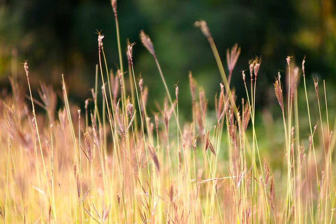 Quibusdam aspernatur perspiciatis laboriosam