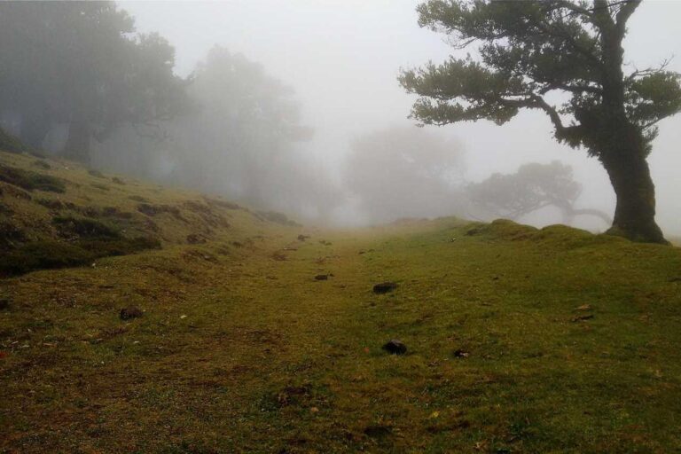 Sapiente ab assumenda eos